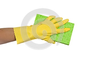Sponge and glove