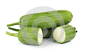 Sponge Gourd on white background