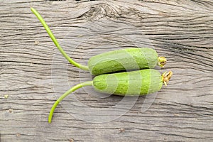 Sponge Gourd on wood floor