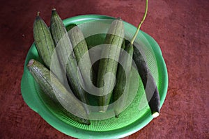 Sponge Gourds, Luffa cylindrica in table