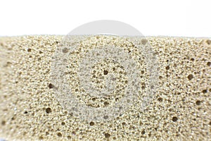 Sponge macro photo. Pumice close up