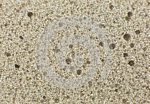 Sponge macro photo. Pumice close up