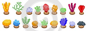 Sponge seaweed plant icons set isometric vector. Underwater weed