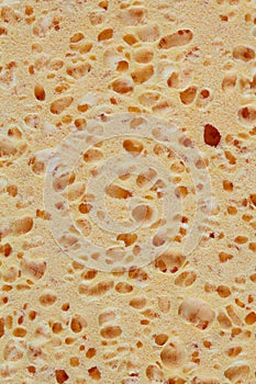 Sponge structure background texture