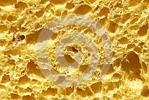 Sponge texture