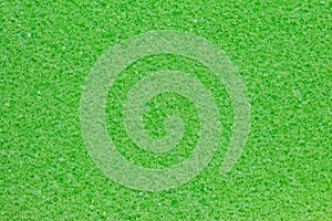 Sponge texture background. Close-up of green bath sponge texture with porous structure for background. Macro photo