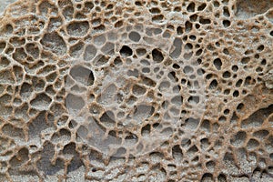 Sponge texture stone