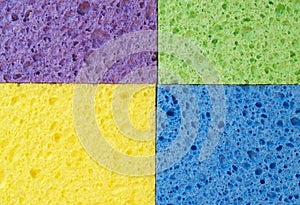 Sponges photo