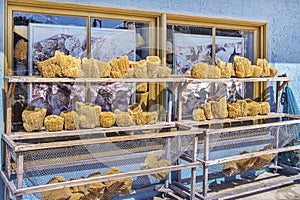 Sponges On Display at the Tarpon Springs Docks