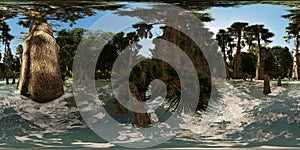 Spooky bald cypresses in the swamp 3d rendering 360 panorama