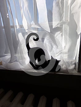 Spooky black cat silhouette on windowsill against a white transparent curtain