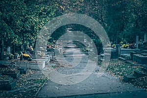 spooky cemetery in foggy sunny day with mysterious atmosphere