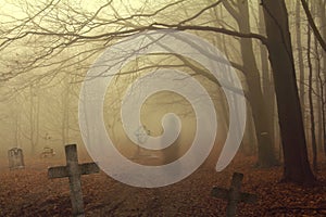 Spooky cemetery in forest
