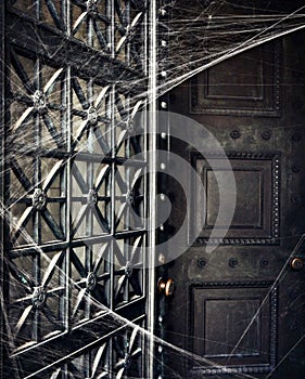 Spooky Crypt Door Covered in Spiderwebs photo