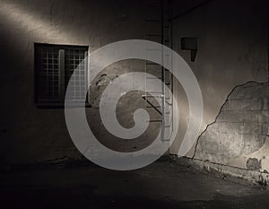 Spooky dark back yard