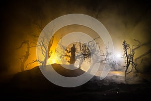 Spooky dark landscape showing silhouettes of trees in the swamp on misty night. Night mysterious landscape in cold tones -