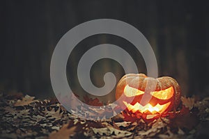 Spooky glowing Jack o lantern on autumn leaves in moody dark forest. Happy Halloween! Scary atmospheric halloween carved pumpkin