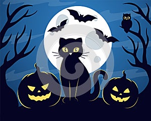 Spooky halloween night. Black cat, full moon, bats, pumpkins, owl.