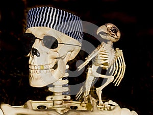 Spooky Halloween Skeletons of Pirate and Bird