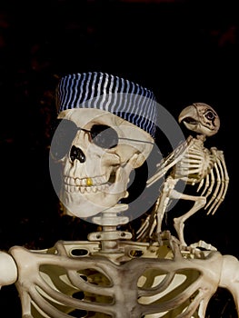 Spooky Halloween Skeletons of Pirate and Bird