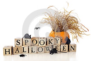 Spooky Halloween Wishes