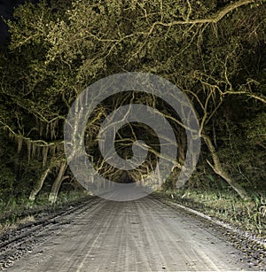 Spooky haunted eerie country dirt road