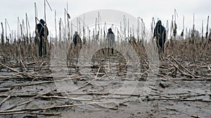 A spooky horror concept of four hooded figures with back to camera. Looking out a field of corn on a winters day