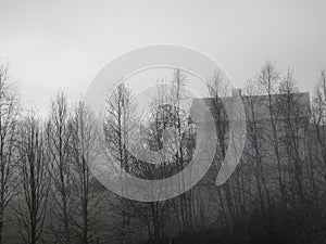 Spooky house with trees and fog