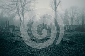 Spooky old cemetery photo