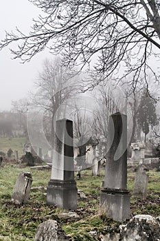 Spooky old graveyard detail