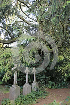 A spooky old graveyard with three stone crosses in a forest