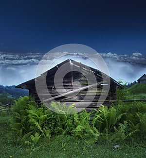 Spooky old wooden house at night overgrown with ferns under moonlight