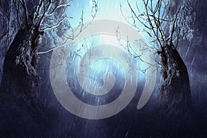 Spooky Tree in Night Mist