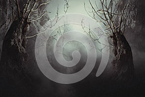 Spooky Tree in Night Mist