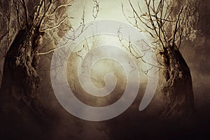 Spooky Tree in Night Mist