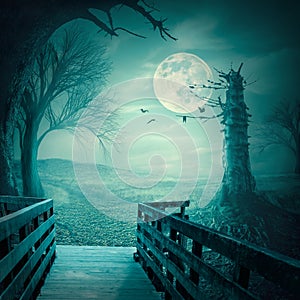 Spooky woods at moonlight as halloween backdrop