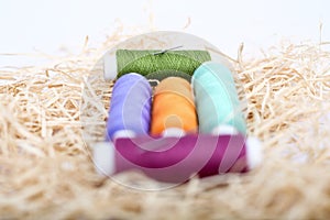 Spool of sewing thread with two needle on the rafi grass