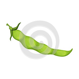 Spoon beans vector cartoon icon. Vector illustration bean on white background. Isolated cartoon illustration icon of