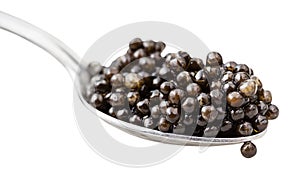 Spoon with black sturgeon caviar close up isolated