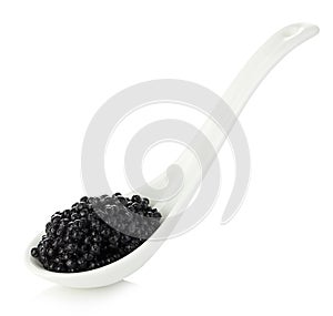 Spoon with black sturgeon caviar isolated on white background