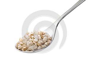 Spoon with boiled buckwheat isolated photo