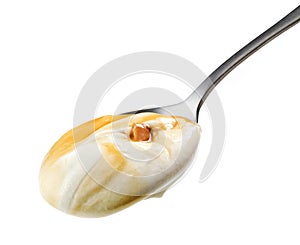 Spoon of caramel yogurt