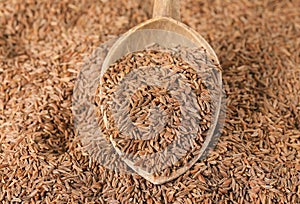 Spoon of caraway seeds