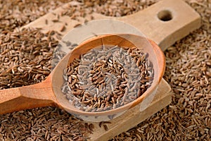 Spoon of caraway seeds