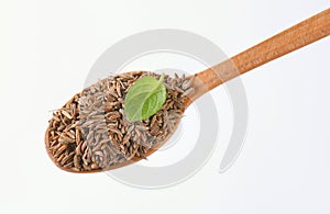 Spoon of caraway seeds