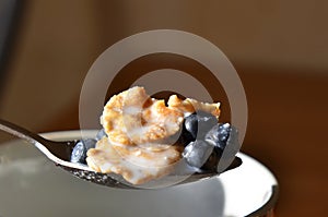 Spoon with cereal and blueberry