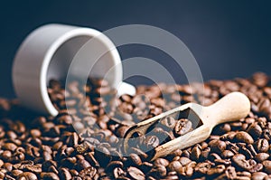 Spoon of coffee beans. Background. Energy. Raw coffee beans. Grained product. Hot drink. Close up. Harvesting. Natural