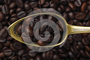 Spoon with coffee grains (Robusta coffee)