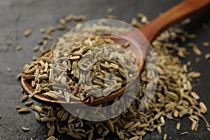 Spoon with fennel seeds on gray table, closeup