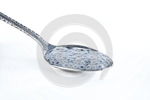 A spoon filled with wet basil seeds was placed on a white background